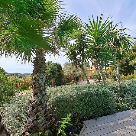 Rez De Jardin Villa Presqu'Ile De Giens 耶尔 外观 照片